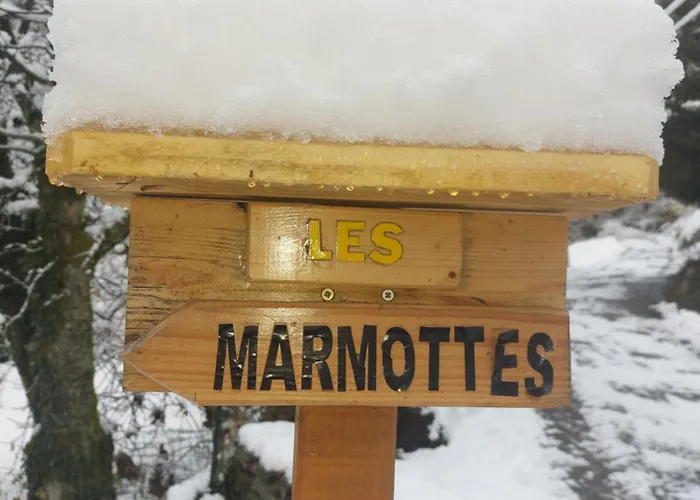 Les Marmottes